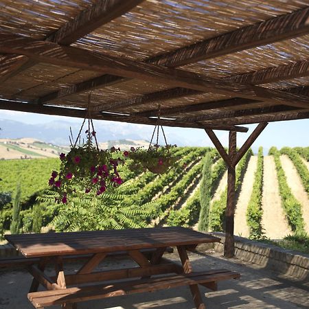 Contado San Lorenzo B&B And Wine Castilenti Экстерьер фото