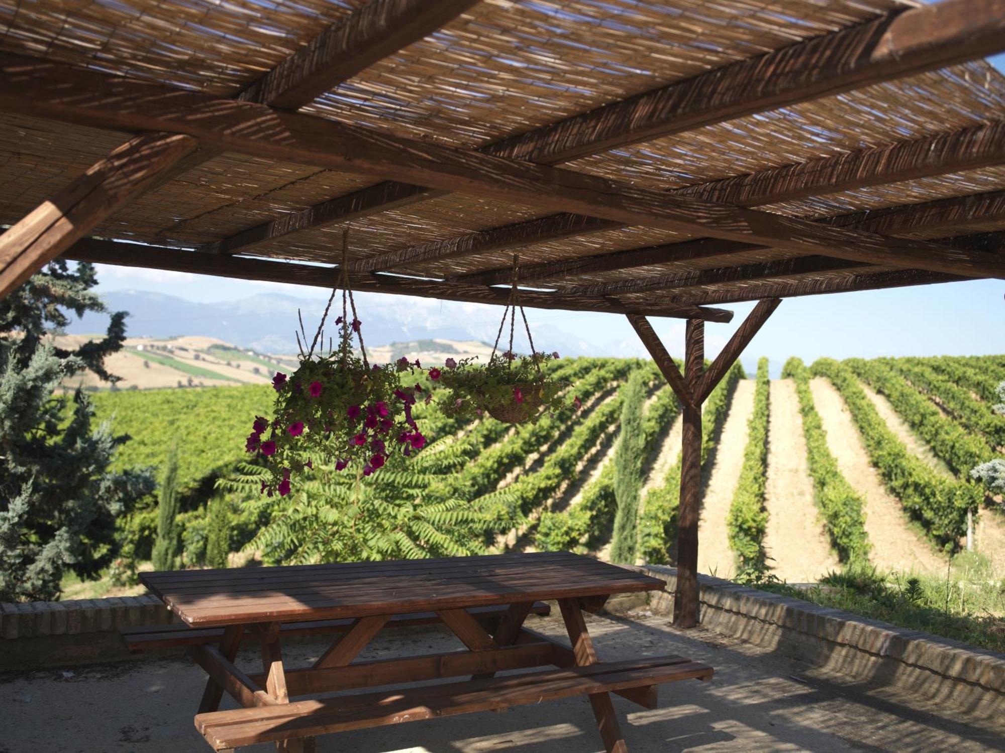 Contado San Lorenzo B&B And Wine Castilenti Экстерьер фото